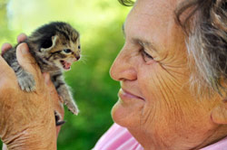 Old lady with kitten