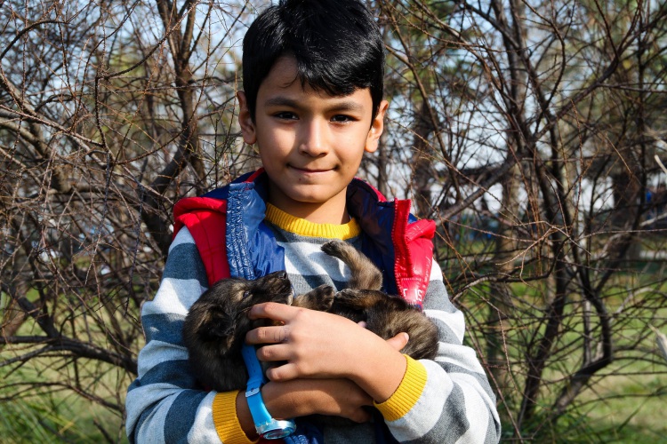 Young Boy with Puppy
