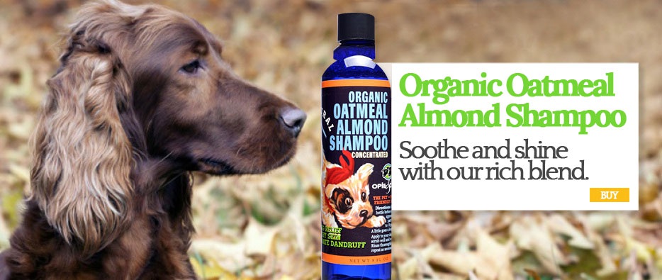 Organic Oatmeal &amp; Almond Shampoo